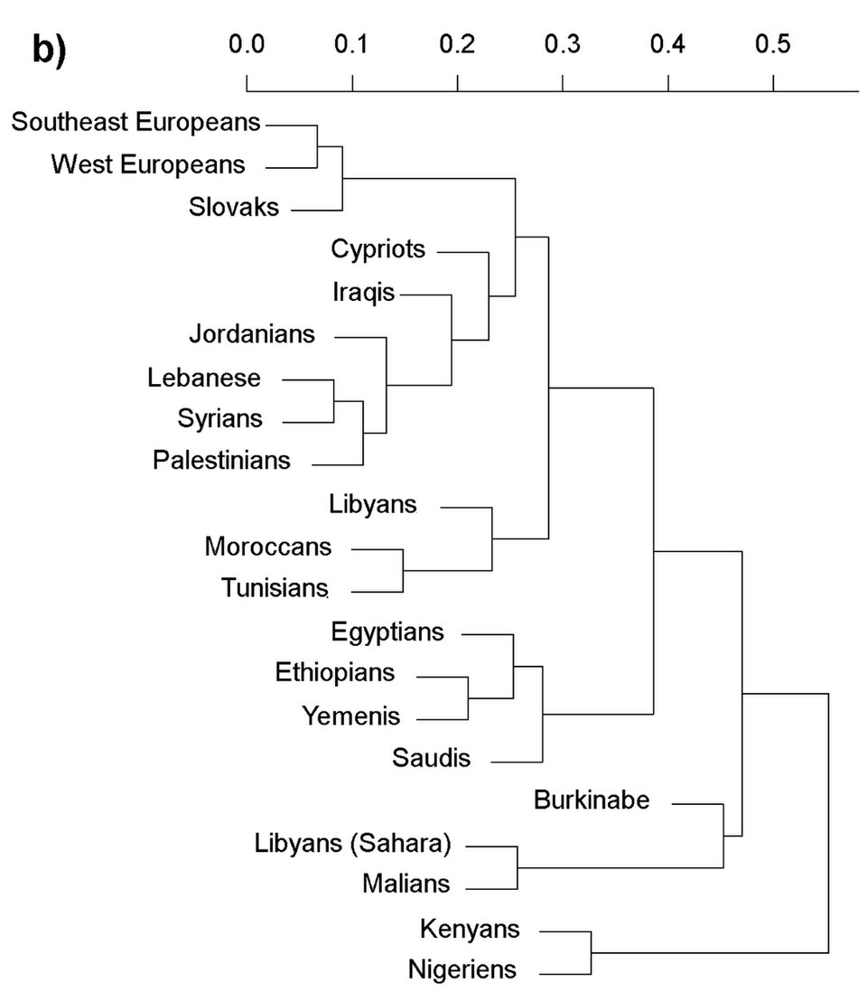 File:Badro 2013 mtdna dendrogram.jpg