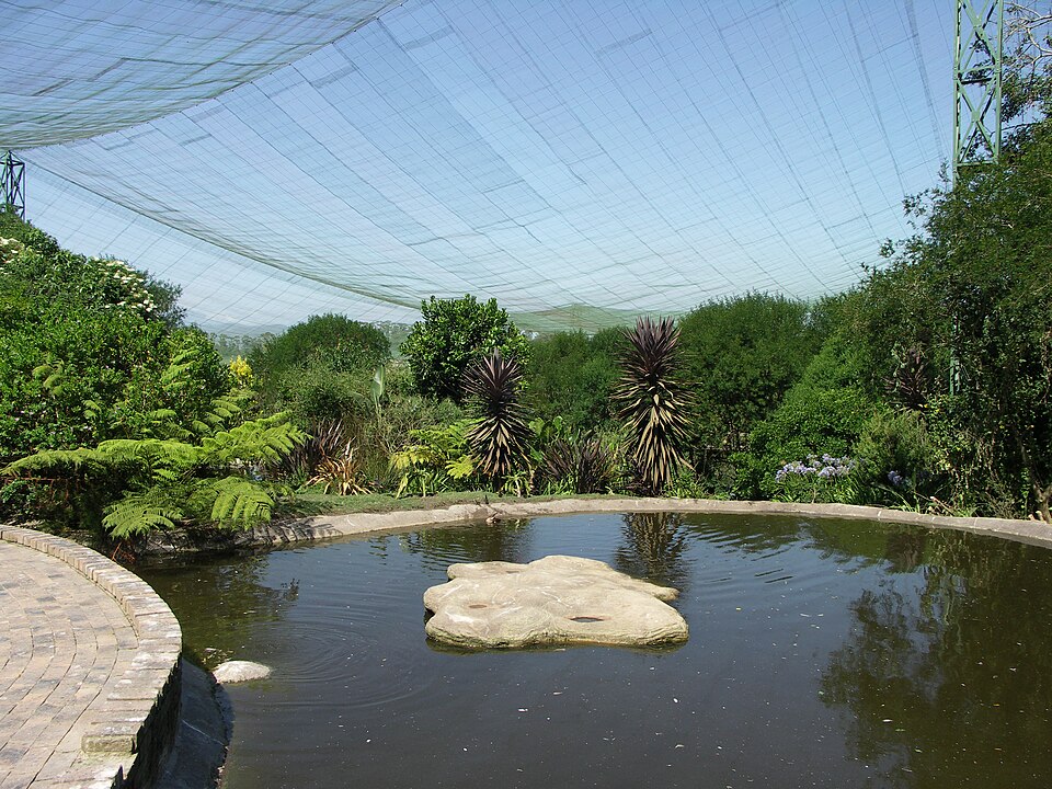 File:Birds of Eden-006.jpg