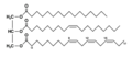 Thumbnail for version as of 09:33, 31 July 2011