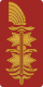 Arabesque(right)