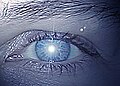 Thumbnail for version as of 20:51, 30 September 2010
