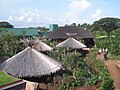 African Wetlands