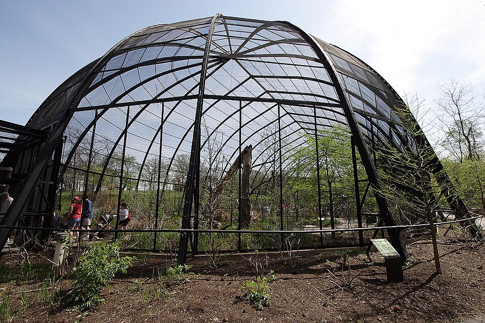 File:1904 Flight Cage.JPG