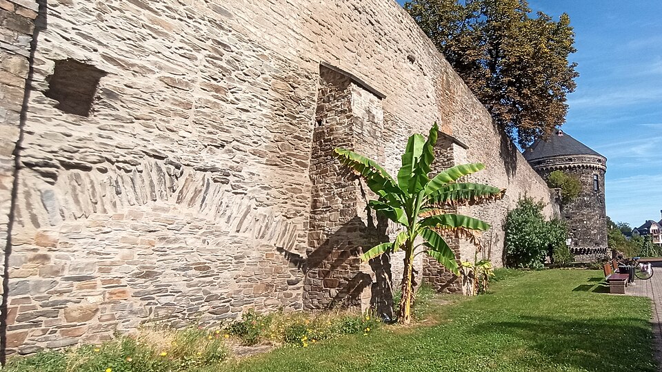File:Andernach fortifications 2023.jpg
