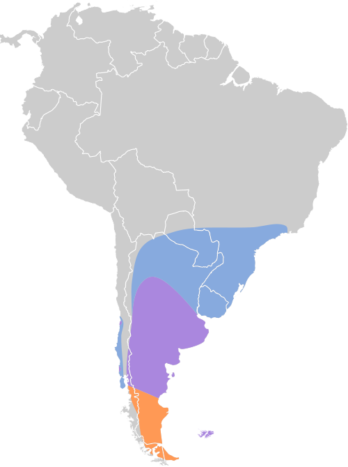 File:Coscoroba coscoroba map.svg