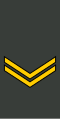 სერჟანტიSerzhant’i(Georgian Land Forces)