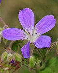 Thumbnail for version as of 07:11, 27 May 2011