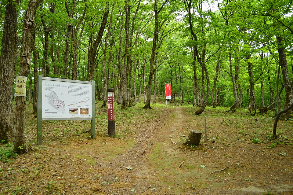 File:Hida Site, Yashiroyama-B, gaikan.jpg