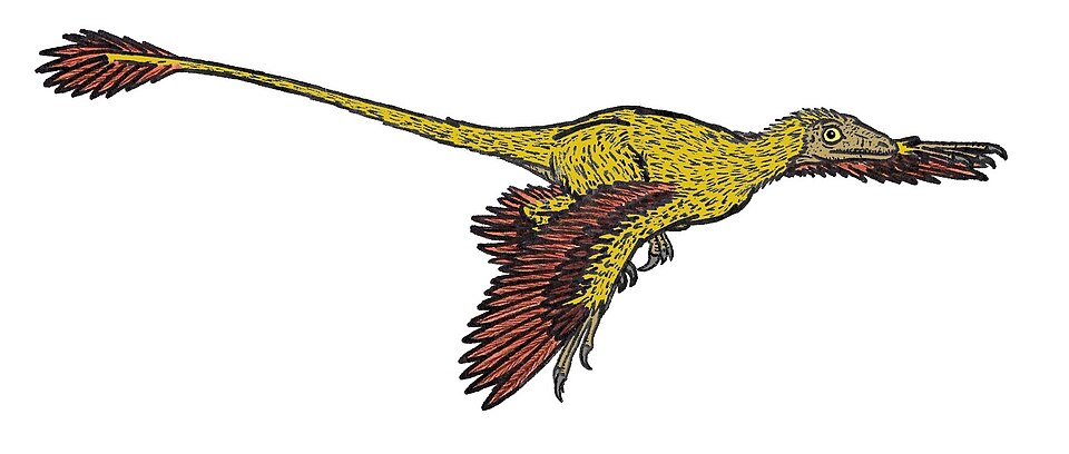 File:Microraptor 575 AL.JPG