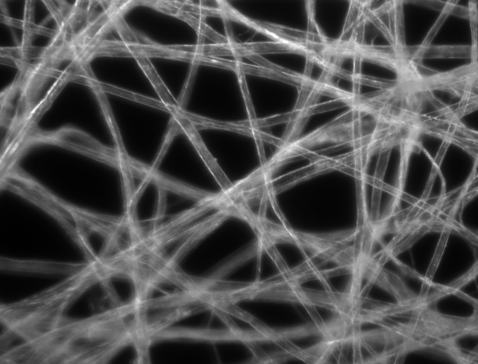 File:Paper Micrograph Dark.png