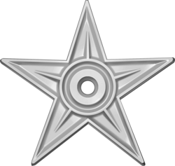 A graphic of a sturdy, gray, engraved star.