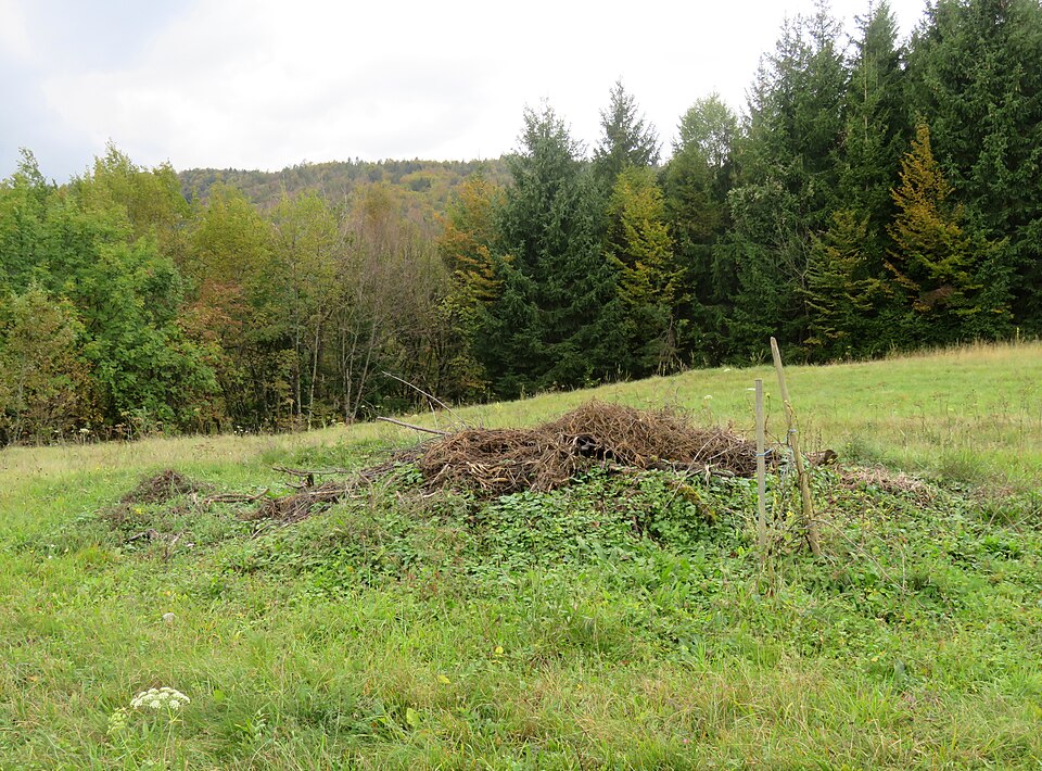 File:Zapotok Narrow Shaft Mass Grave 1.jpg