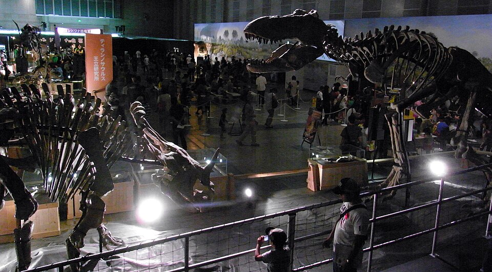 File:Zuchengtyrannus VS Sinoceratops.jpg
