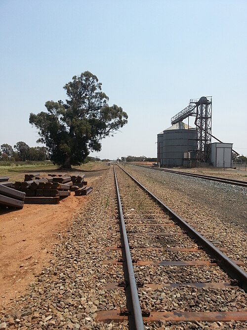 File:Ungarie Railway Yard, NSW Australia.jpg