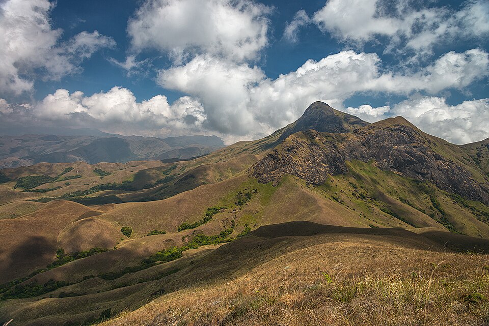 File:AnaimudiPeak DSC 4834.jpg