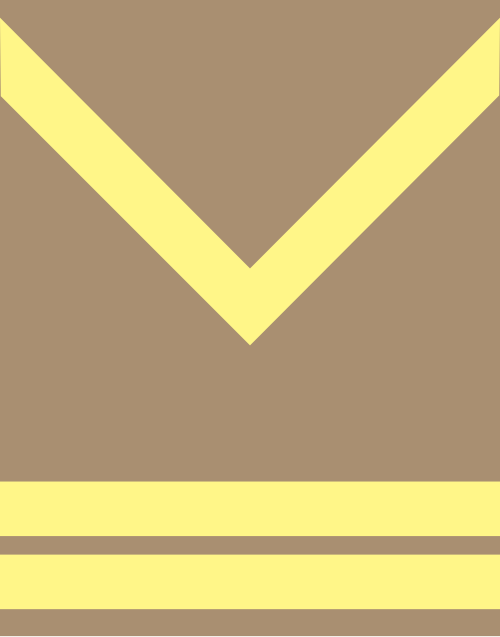 File:Bosnia and Herzegovina Staff Sergeant Insignia.svg