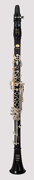 File:Patricola CL4.jpg