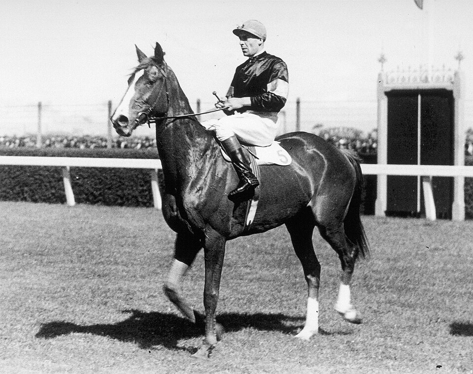 File:ROGILLA 1933 LKS MACKINNON STAKES D.MUNRO.JPG