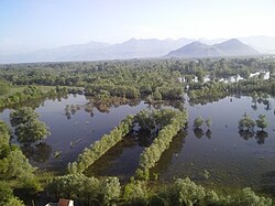 Vranina, view from Žabljak Crnojevića