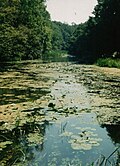 A Túr