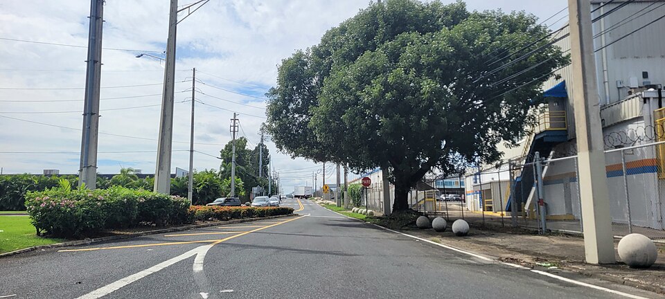 File:Carretera PR-889, Bayamón, Puerto Rico (1).jpg