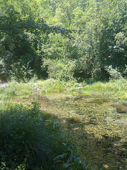 File:Izvor Ribnika - panoramio.jpg