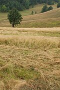 Place Kneževo Polje, Small Povlen