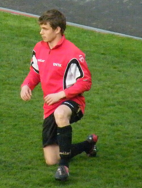 File:Búrány Zoltán.jpg