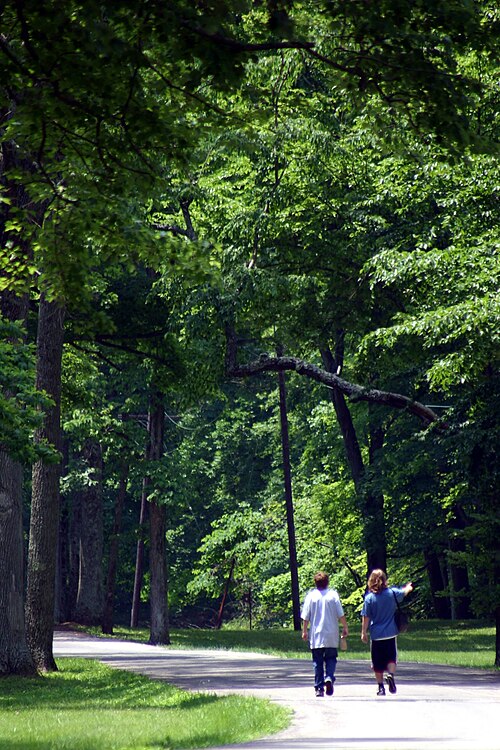 File:Fort ancient main trail 2006.jpg
