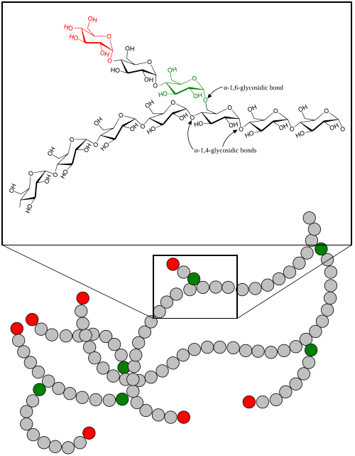 File:Glycogen.svg
