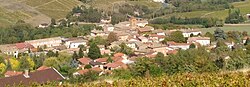 View of the village.