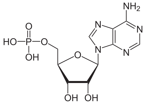 File:Adenosinmonophosphat protoniert.svg