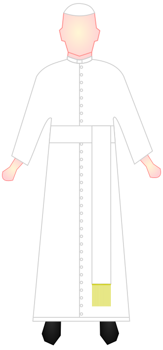 File:Cassock (Pope).svg
