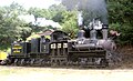 October 5thSonora, a  shay locomotive