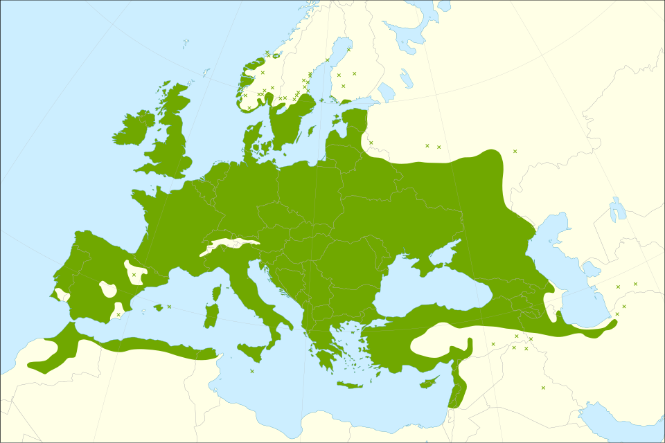 File:Crataegus monogyna range.svg