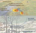 Thumbnail for version as of 03:53, 8 December 2022