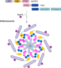 Thumbnail for version as of 06:43, 15 September 2015