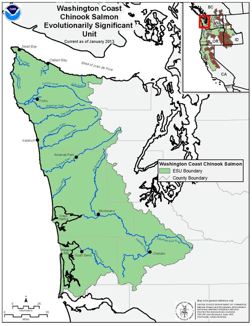 File:Web pdfs wcc chinook.pdf