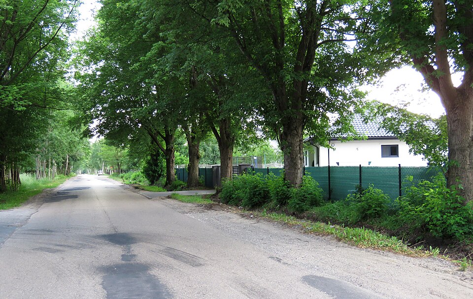 File:ZAZDROŚĆ 04.jpg