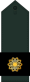 Major