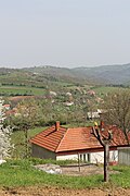 Balinović - panorama