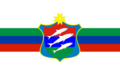 Flag of Muyezersky District