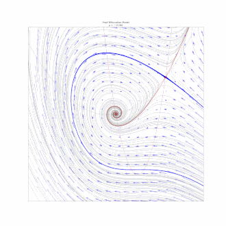 A detailed view of the homoclinic bifurcation