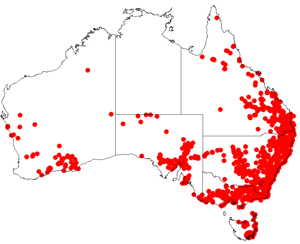 File:Indigofera australisDistMap7.png