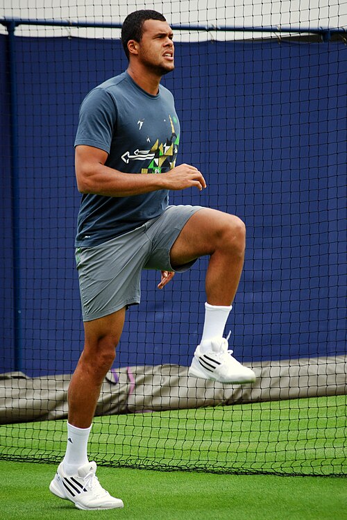 File:Jo-Wilfried Tsonga - Queen's Club 2011.jpg