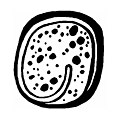 Thumbnail for version as of 00:50, 12 August 2014