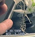 Thumbnail for version as of 05:58, 22 June 2012
