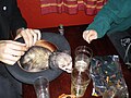Very cute ferret - owned by Psychonaut.