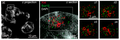 Thumbnail for version as of 08:56, 23 April 2016