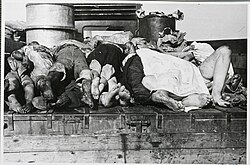 Civilians of the Lokka village killed on July 14 1944 being transported to the graveyard.